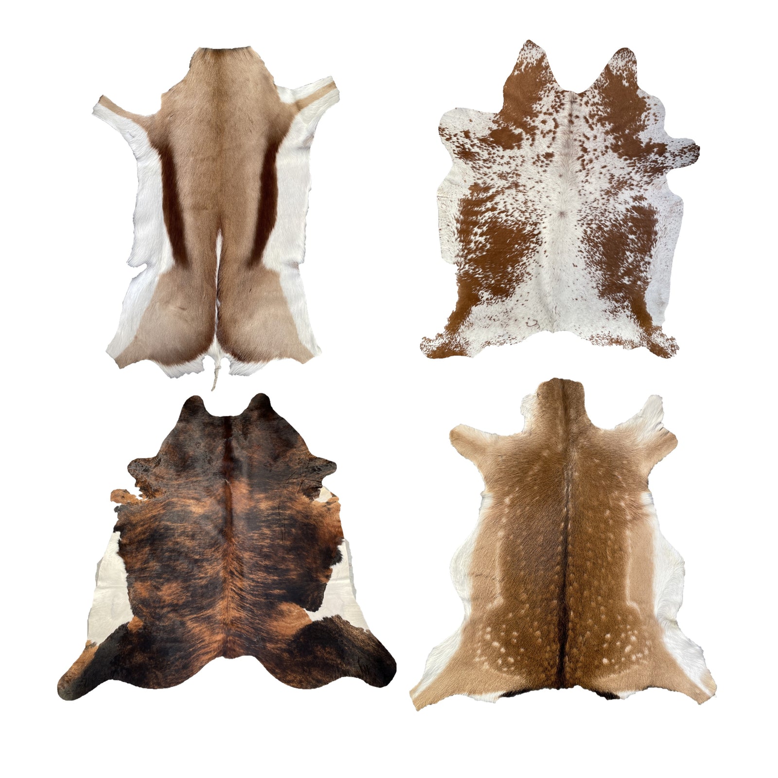 Hair On Hides and Skins