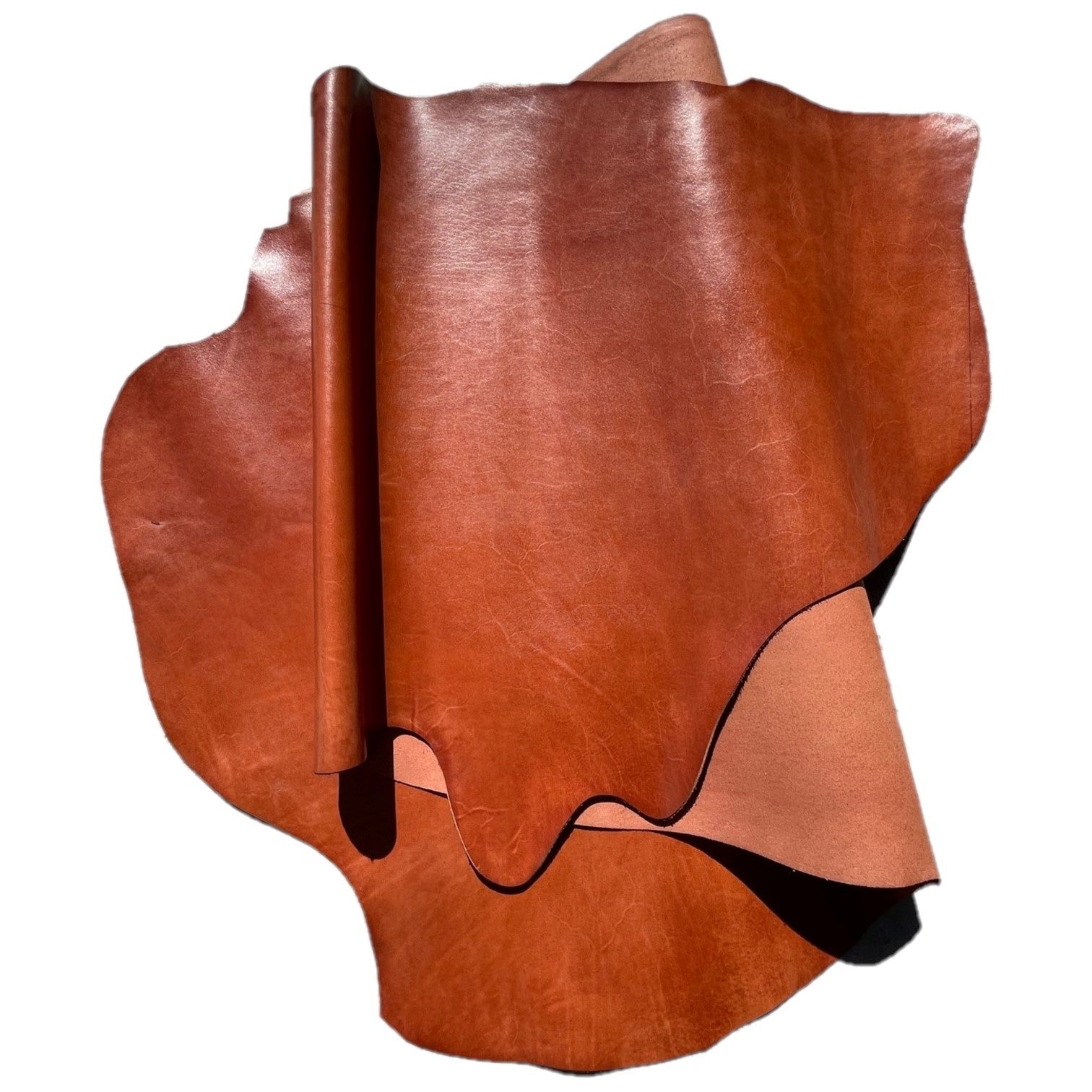 Bag and Footwear Leather