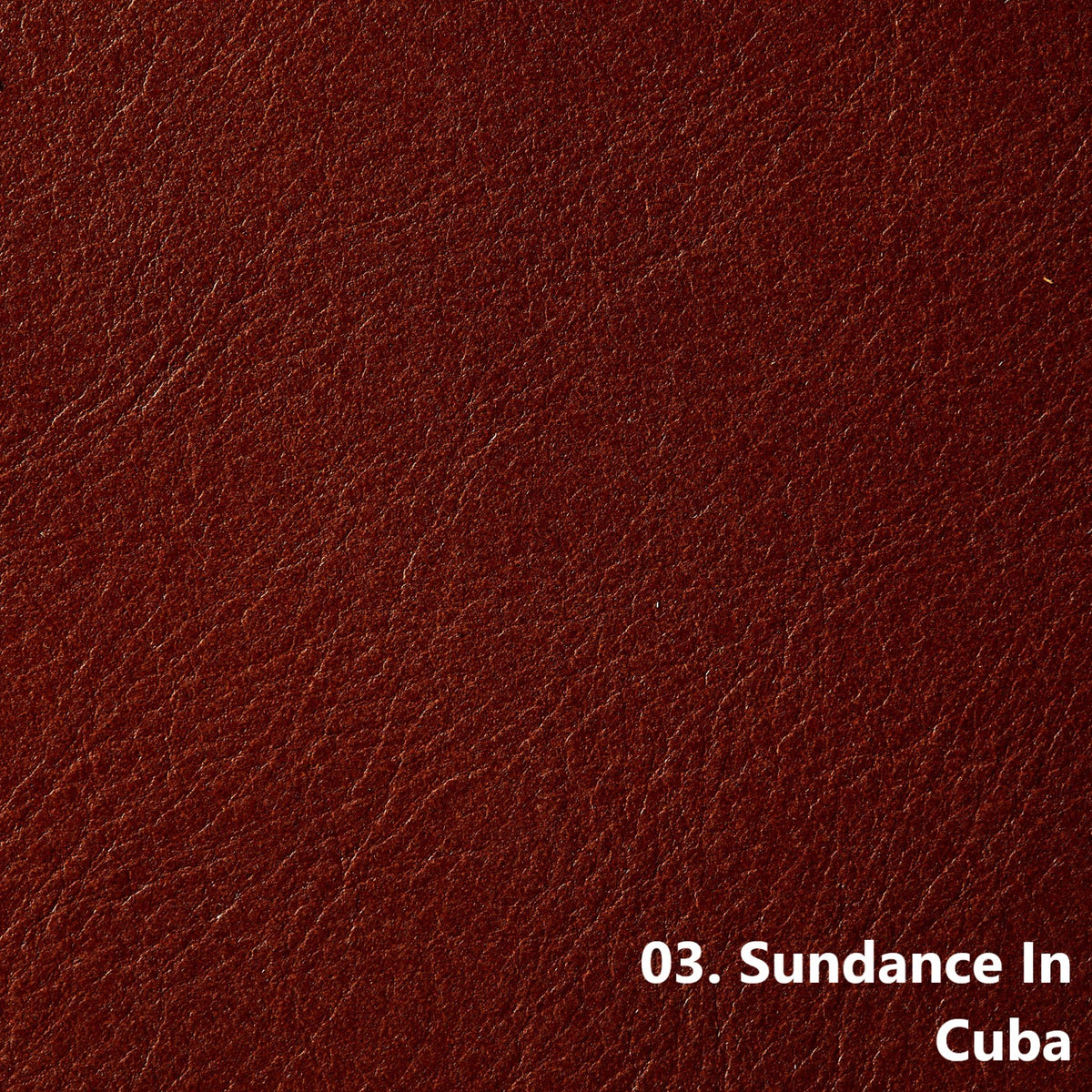 Sundance Cuba | 0.9mm | 4.8 sq.m | From $855