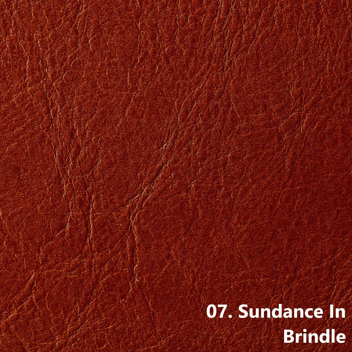 Sundance Brindle | 0.9mm | 4.8 sq.m | From $855