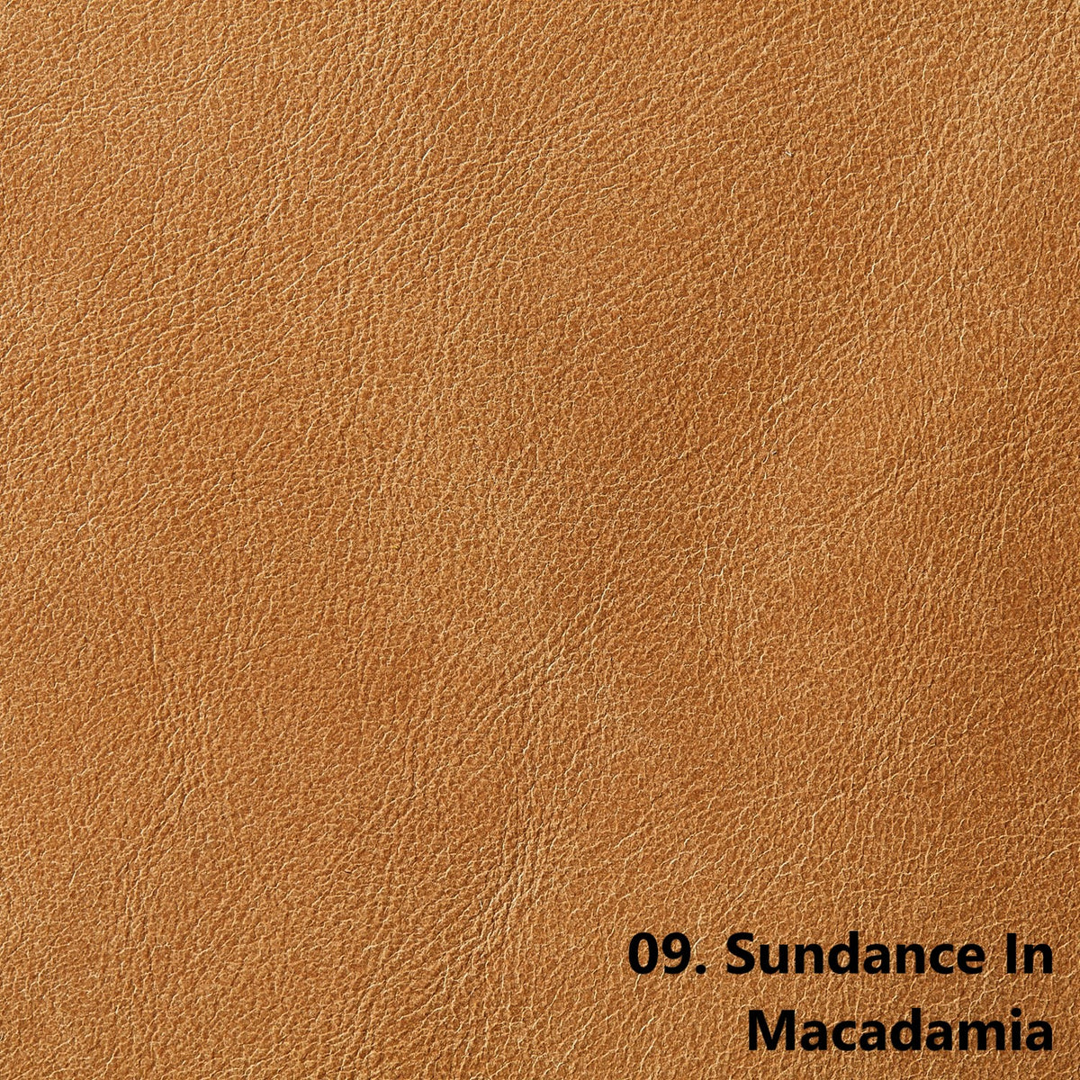 Sundance Macadamia | 0.9mm | 4.8 sq.m | From $855