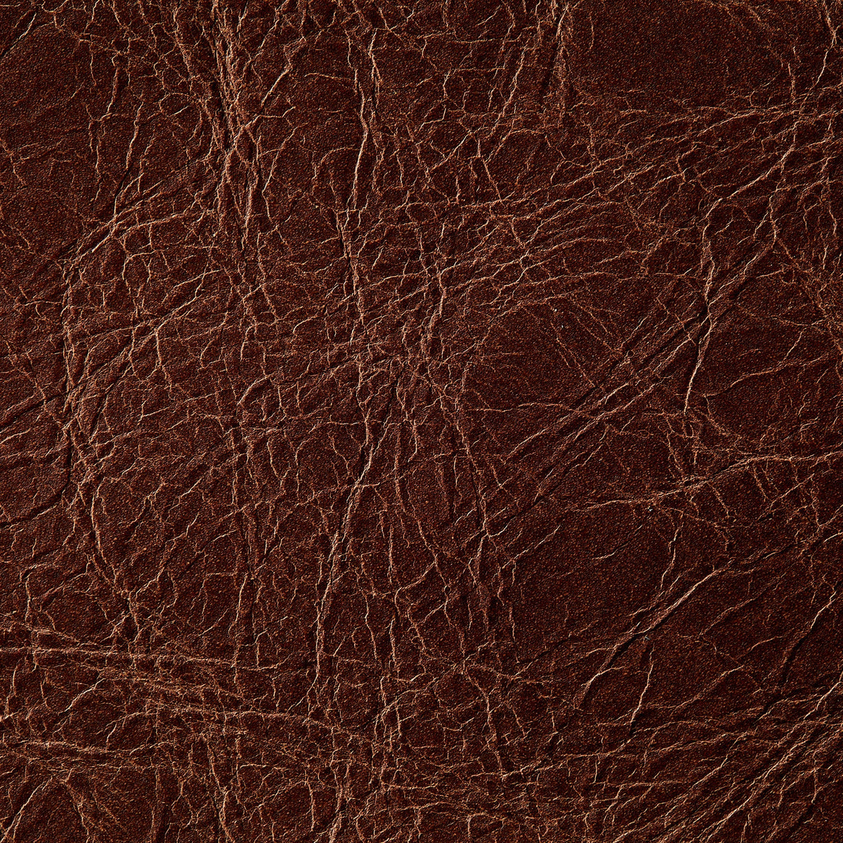 Laguna Upholstery Indent | Brown 2006 | 0.9mm | 4.8 sq.m | From $1073