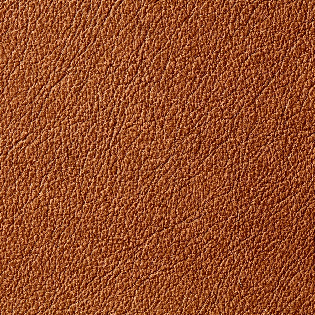 Casablanca Outback 2 Tone | 0.9mm | 4.8 sq.m | From $810