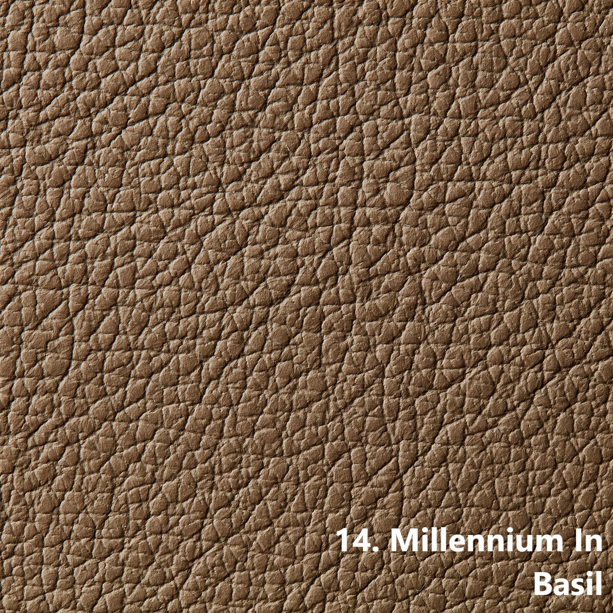 Millennium Upholstery | Basil | 0.9mm | 4.8 sq.m | From $557