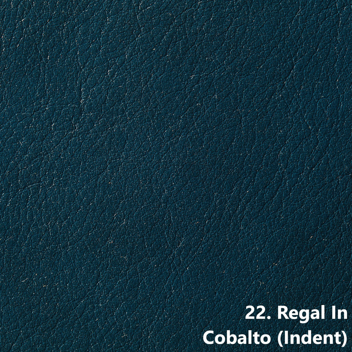 Regal Upholstery Hides (Indent) | Pre Order | 0.9mm | 4.8 sq.m