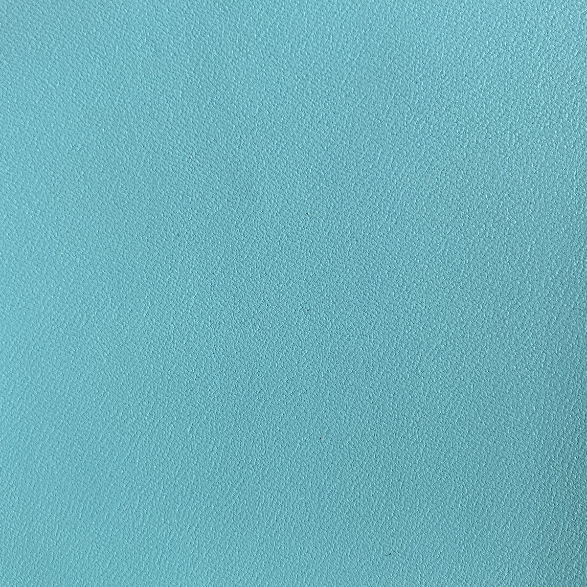 Cabretta | Baby Blue | 0.8mm | 4-6 sq.ft | $51 ea.