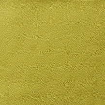 Casablanca Indent New Celery 684 | 0.9mm | 4.8 sq.m | From $1035
