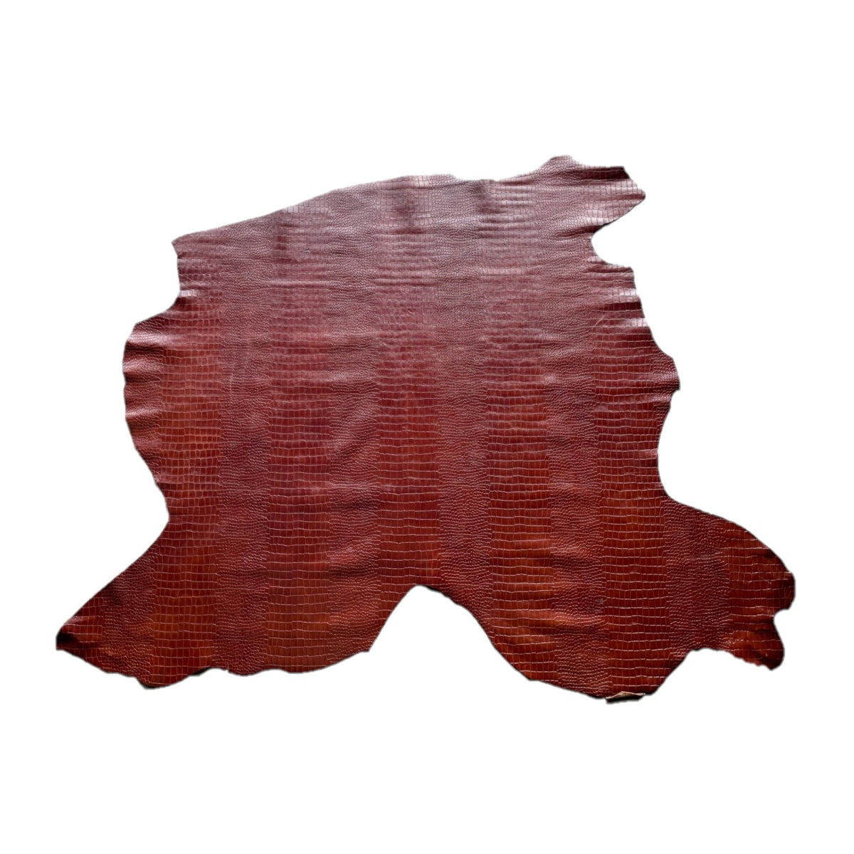 NEW Crocodile Print Calf Skin | Brown | 1.2mm | 15 - 17 sq.ft | from $160 ea.