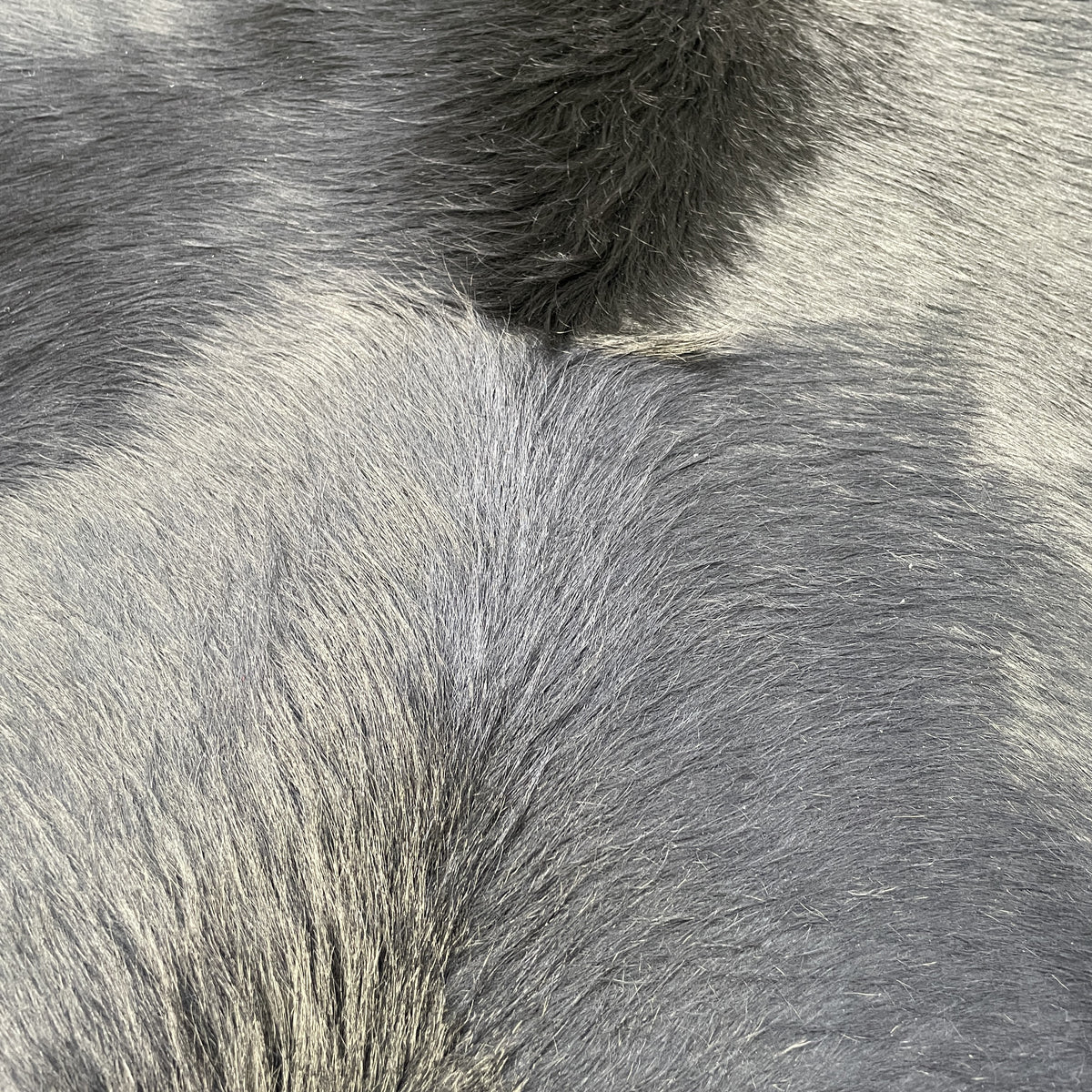 Hair On Cow Hide Rug | Dyed Black | 42 sq.ft | $400 ea.