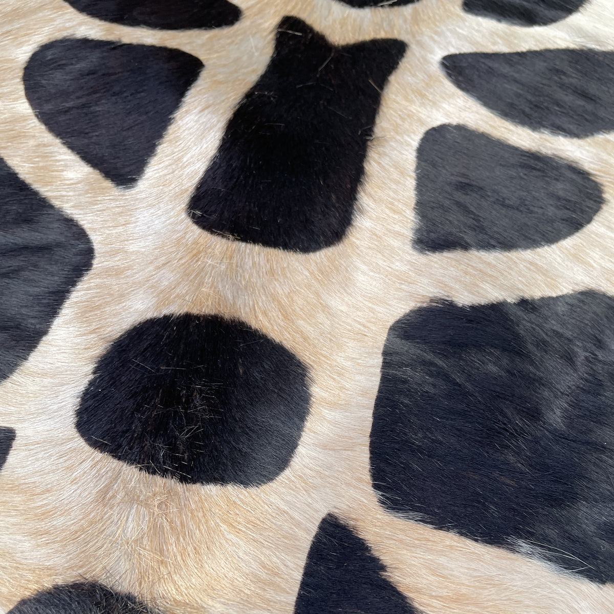 Hair On Cow Hide Rug | Stenciled Giraffe | 42 sq.ft | $350 ea.