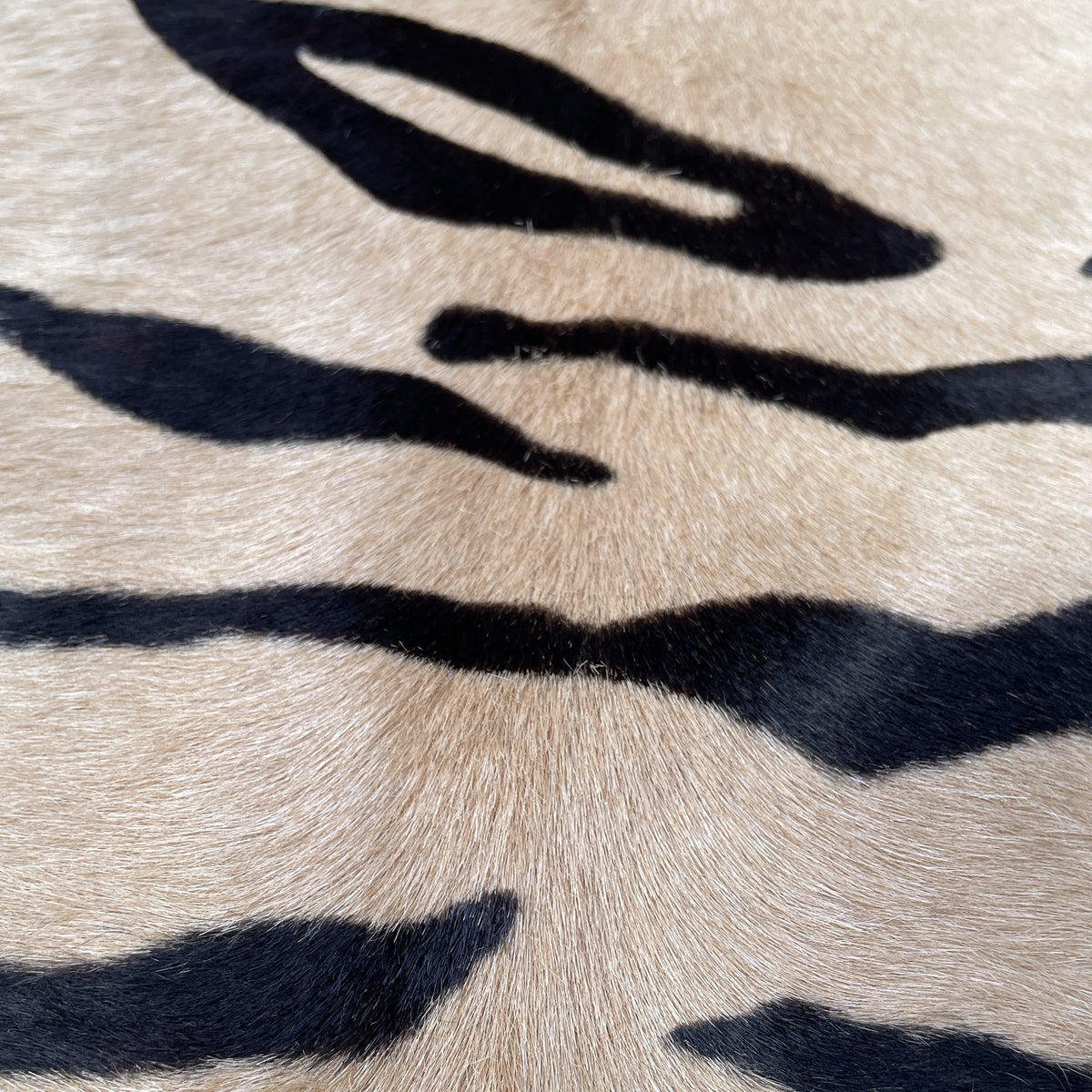 Hair On Cow Hide Rug | Stenciled Tiger | 42 sq.ft | $350 ea.