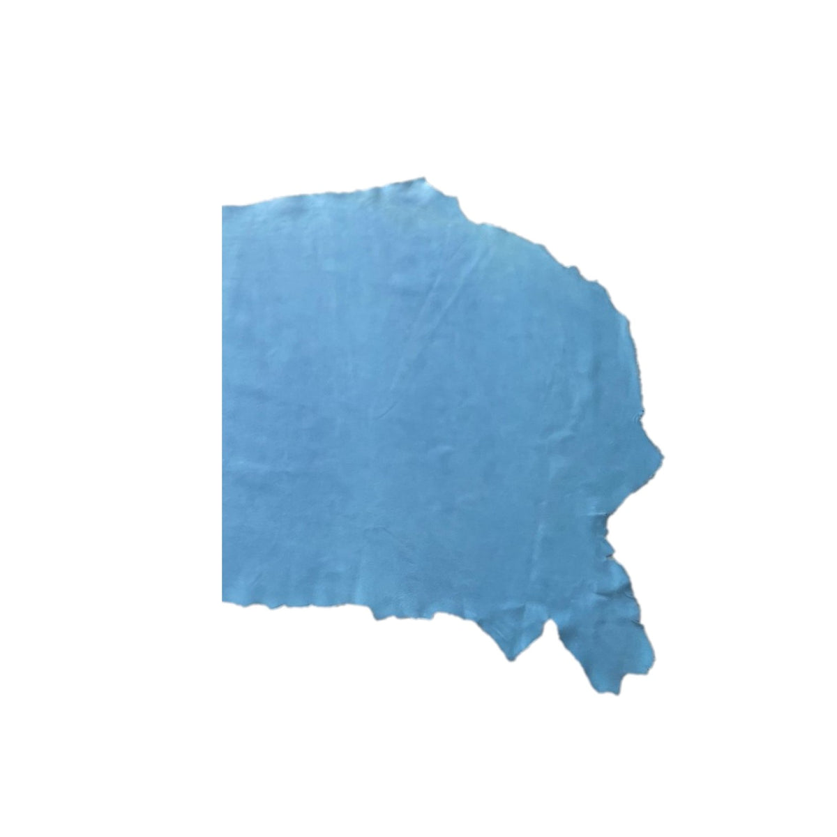 Olympia Cow Half Sides | Sky Blue | 1.5 mm | 10.5 sq.ft | From $160 ea.
