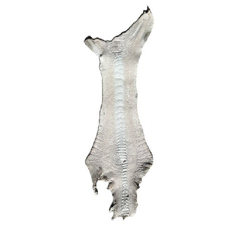Ostrich Leg | Natural | 1.5/1.6mm | $60 ea.