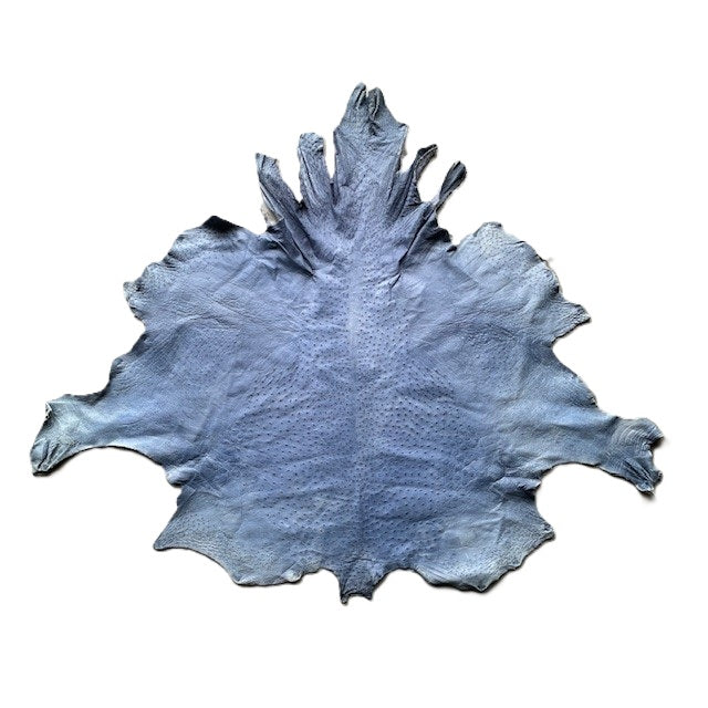 Ostrich Skin | Blue | 1.5/1.6mm | $345 ea.