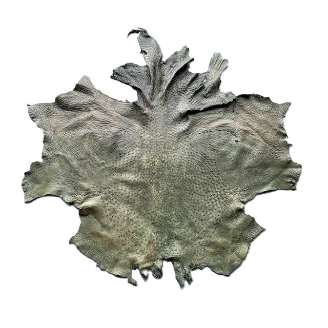 Ostrich Skin | green | 1.5/1.6mm | $345 ea.