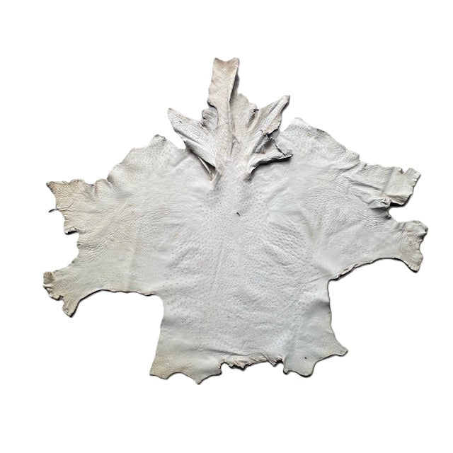 Ostrich Skin | Natural | 1.5/1.6mm | $345 ea.