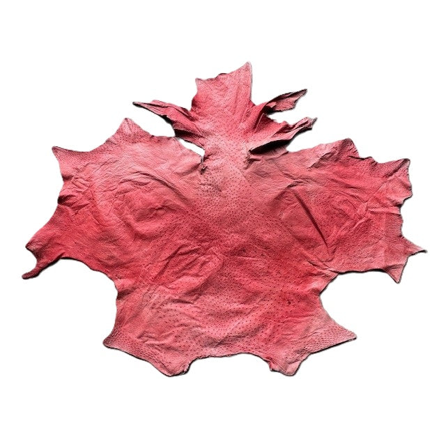 Ostrich Skin | Red | 1.5/1.6mm | $345 ea.