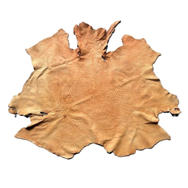 Ostrich Skin | Yellow | 1.5/1.6mm | $345 ea.