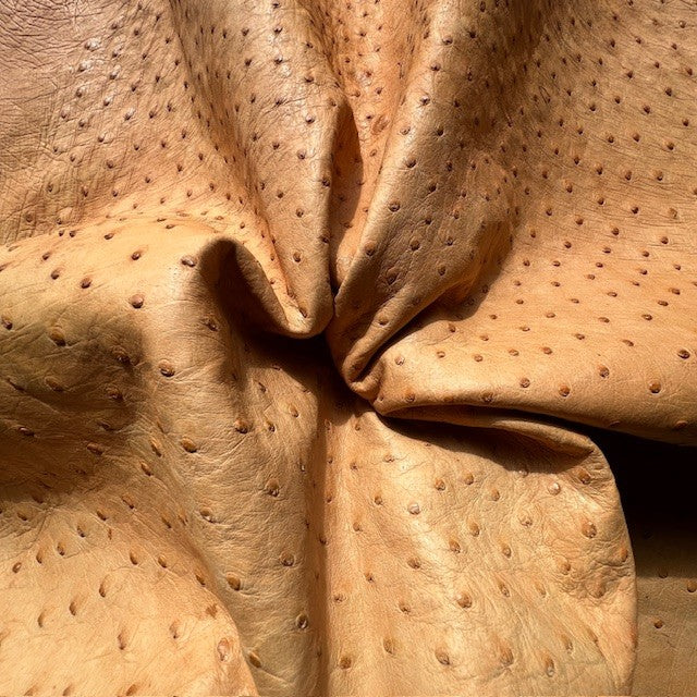 Ostrich Skin | Yellow | 1.5/1.6mm | $345 ea.