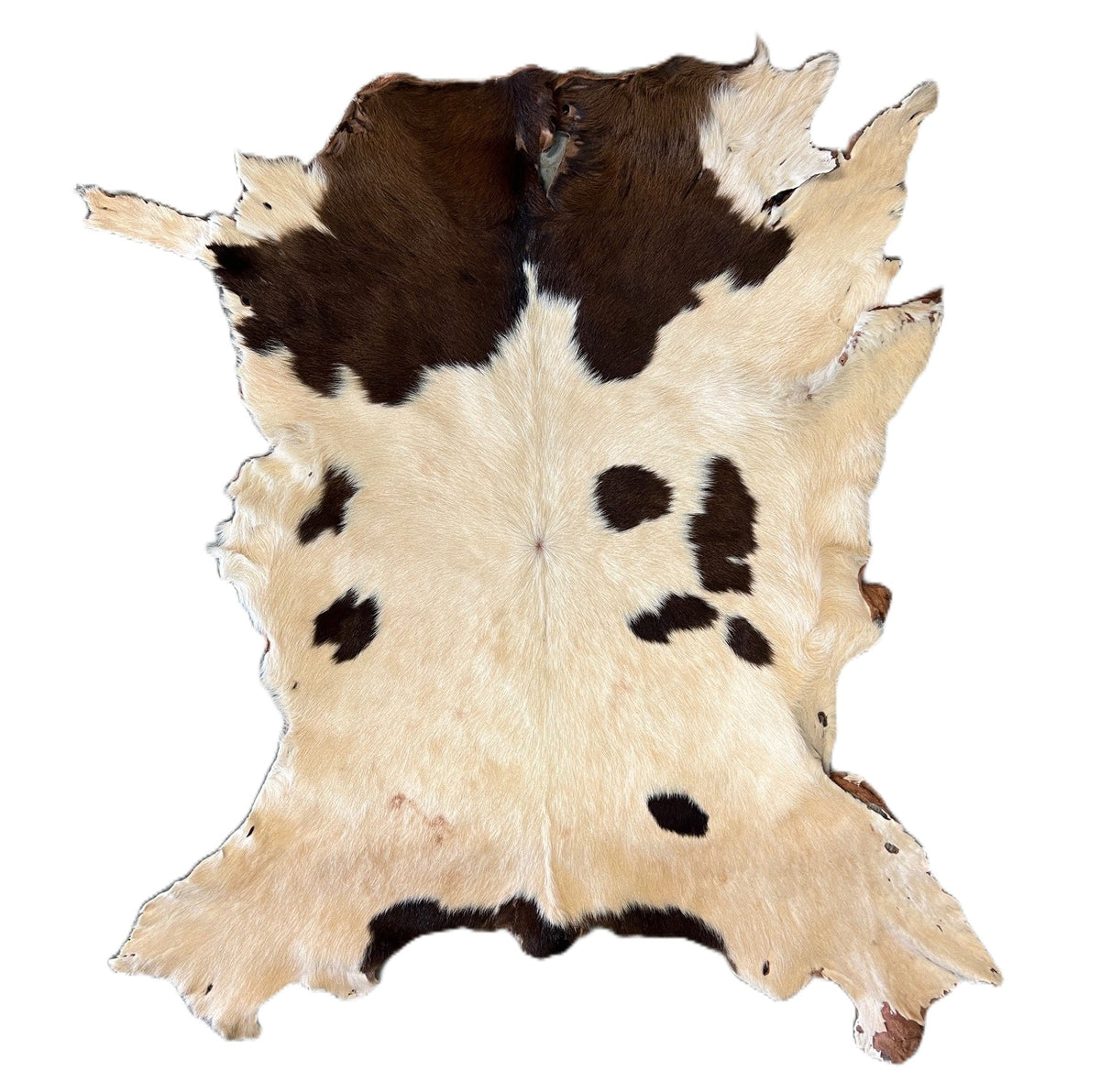 Hair on Calf Skin #2 | Natural | 80cm x 60cm | $125 ea.