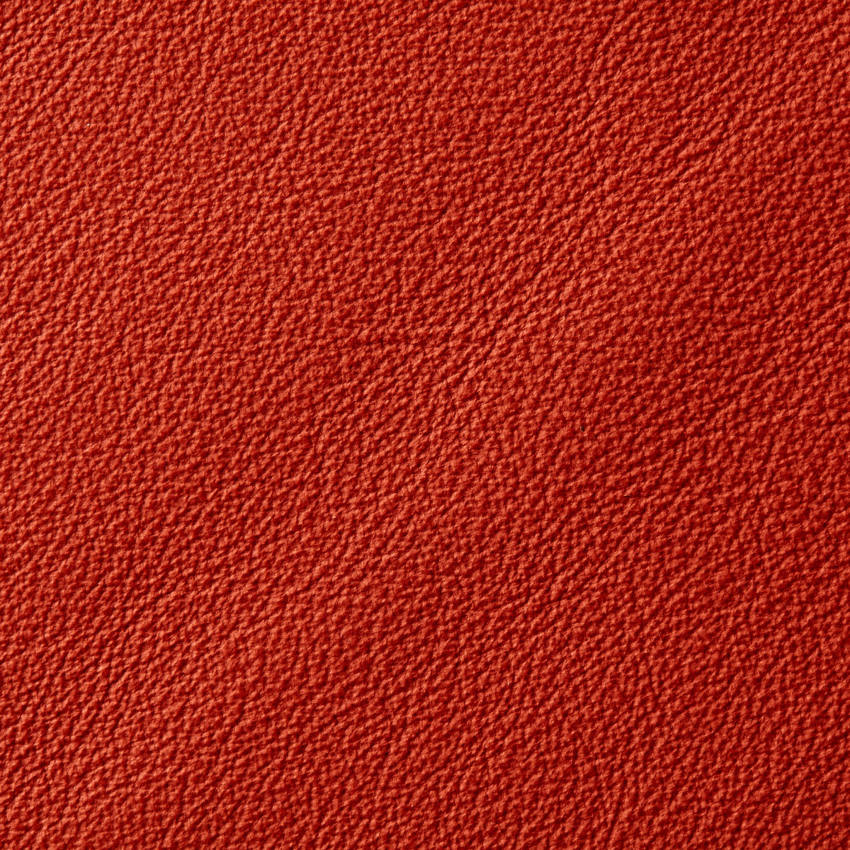 Casablanca Indent Begonia 617 | 0.9mm | 4.8 sq.m | From $1035