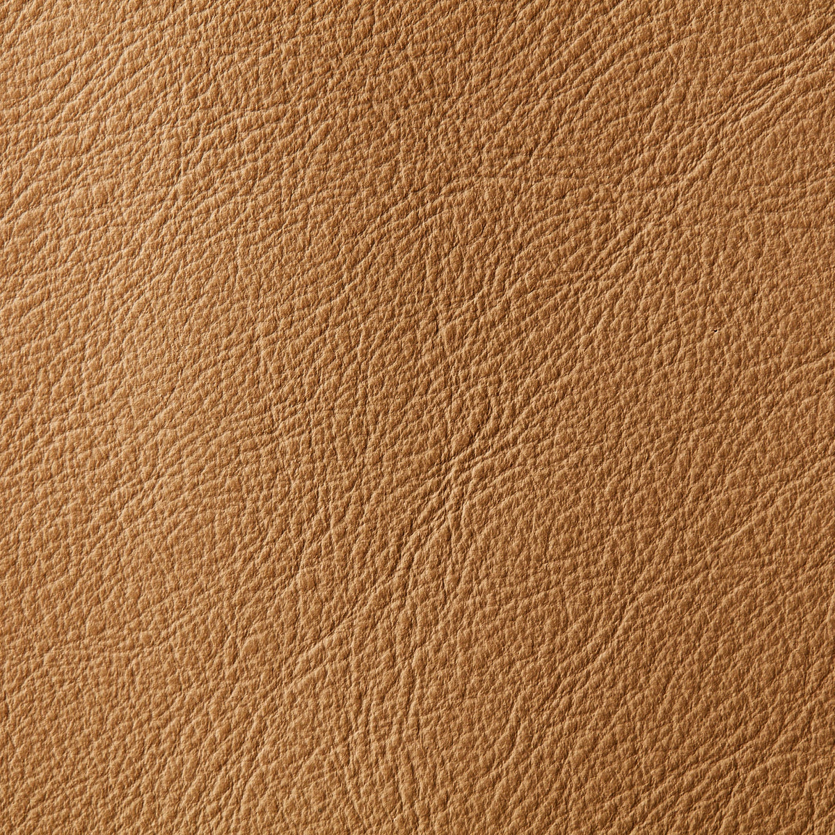 Casablanca Pottery | 0.9mm | 4.8 sq.m | From $755