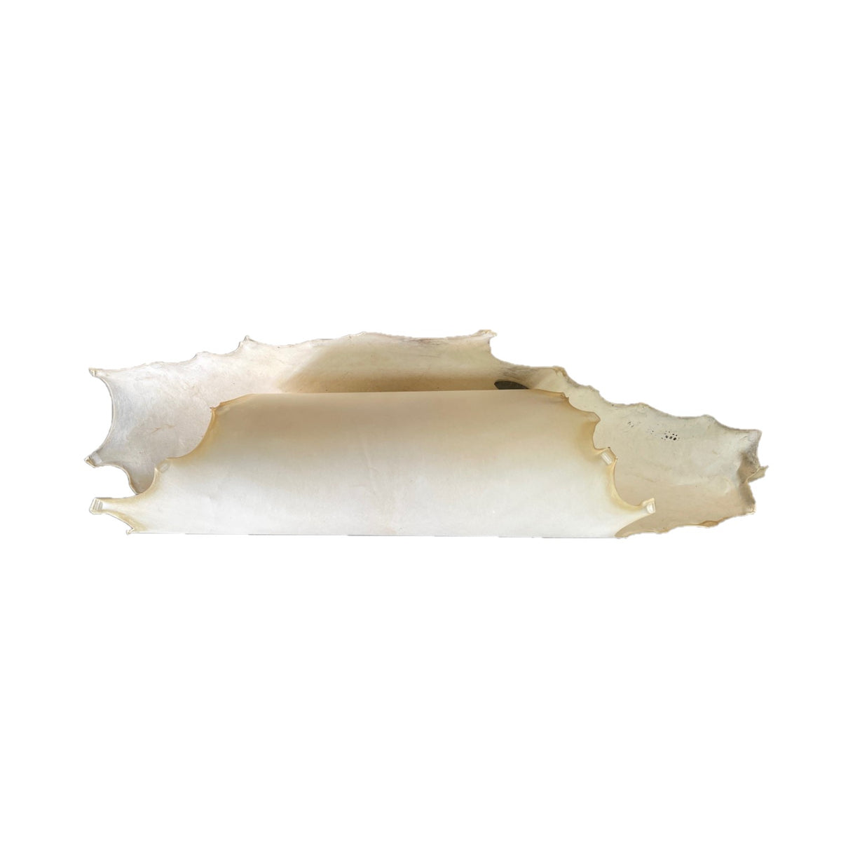 Kangaroo Rawhide | 0.6 mm | 6 sq.ft | $115 ea.