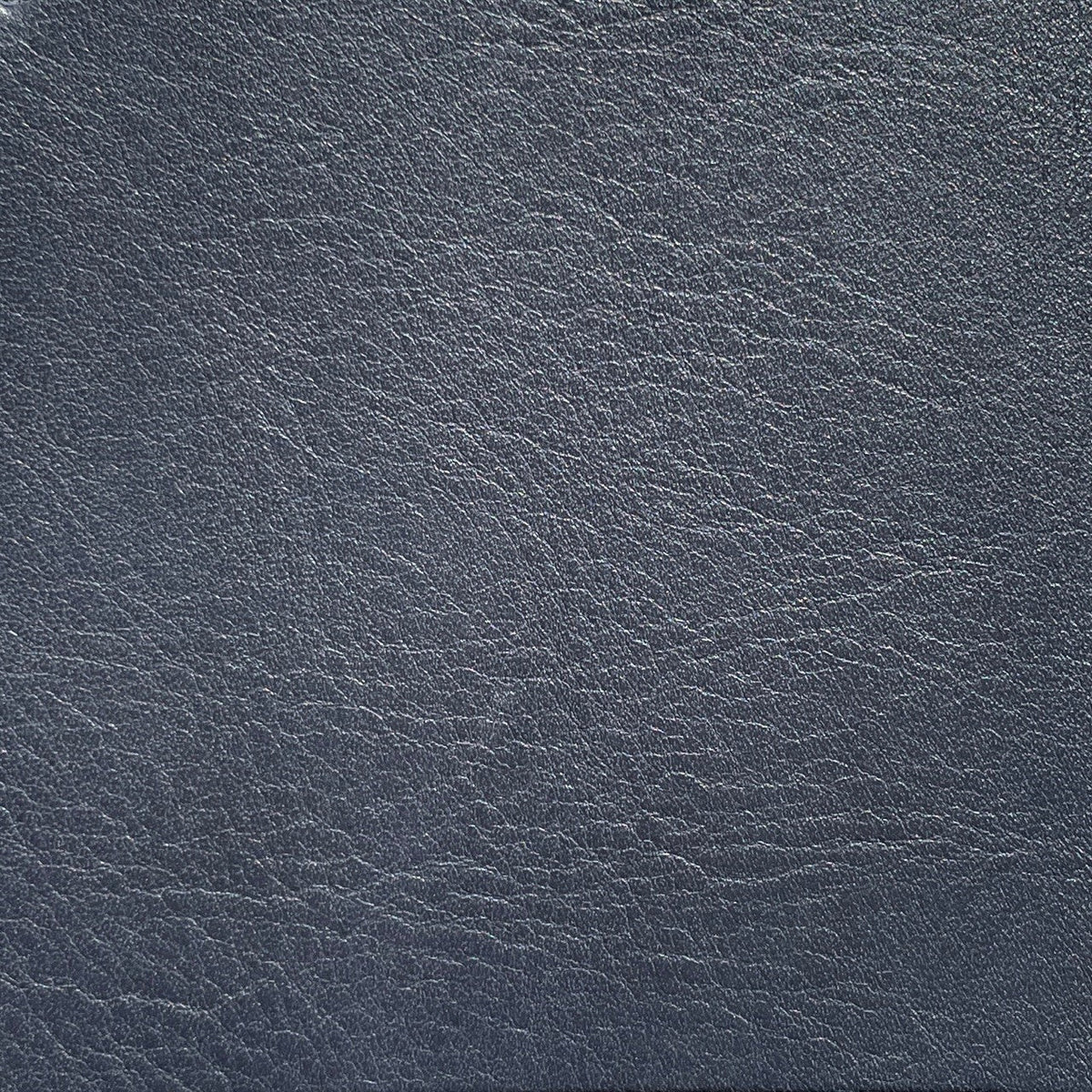Olympia Cow Half Side | Navy | 1.5 mm | 10.5 sq.ft | From $160 ea.