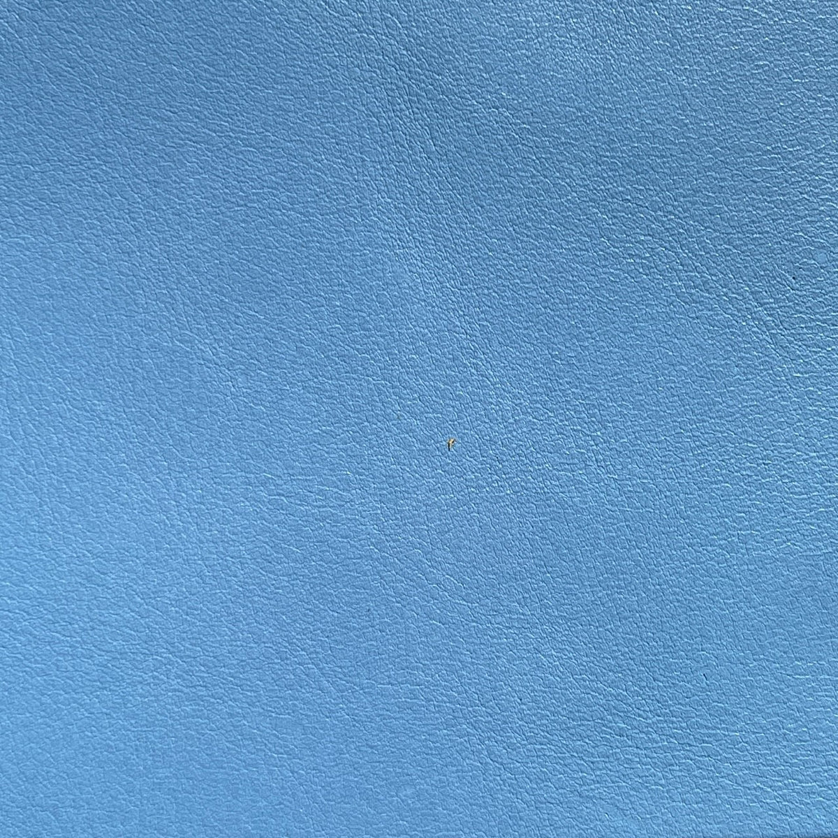 Olympia Cow Half Sides | Sky Blue | 1.5 mm | 10.5 sq.ft | From $175 ea.