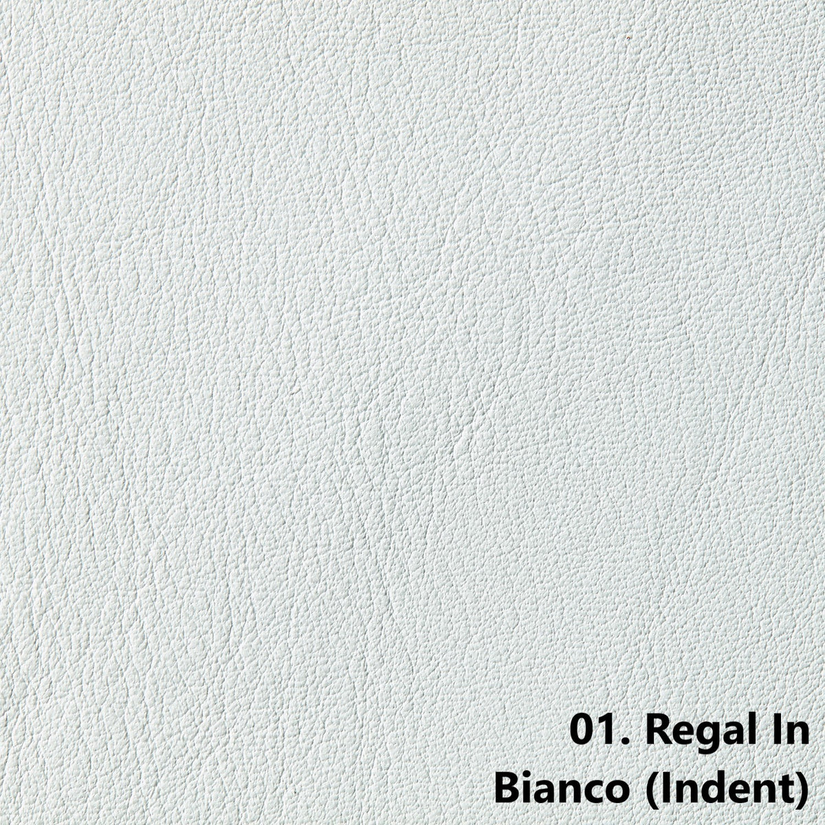 Regal Upholstery Hides (Indent) | Pre Order | 0.9mm | 4.8 sq.m