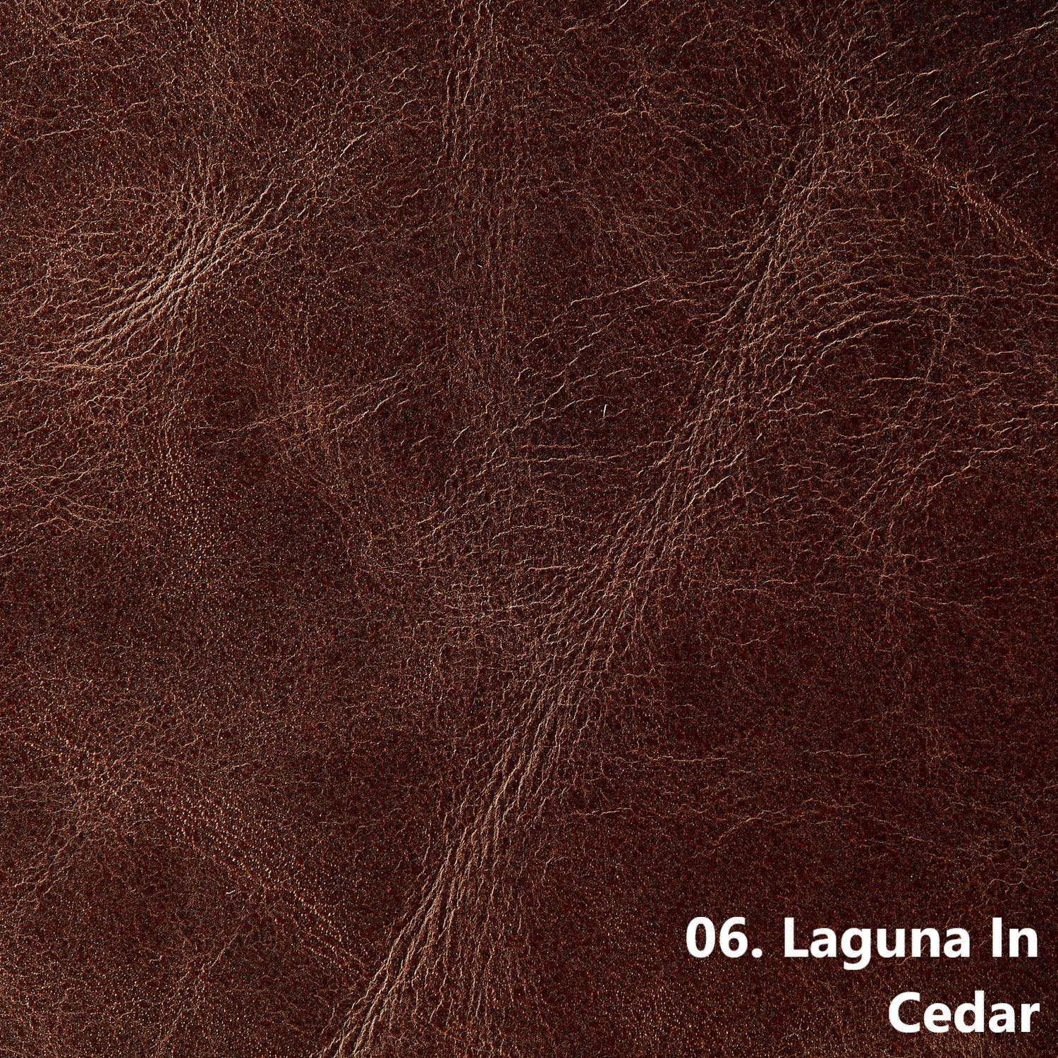 Sepia Laguna Leather stain---HELP