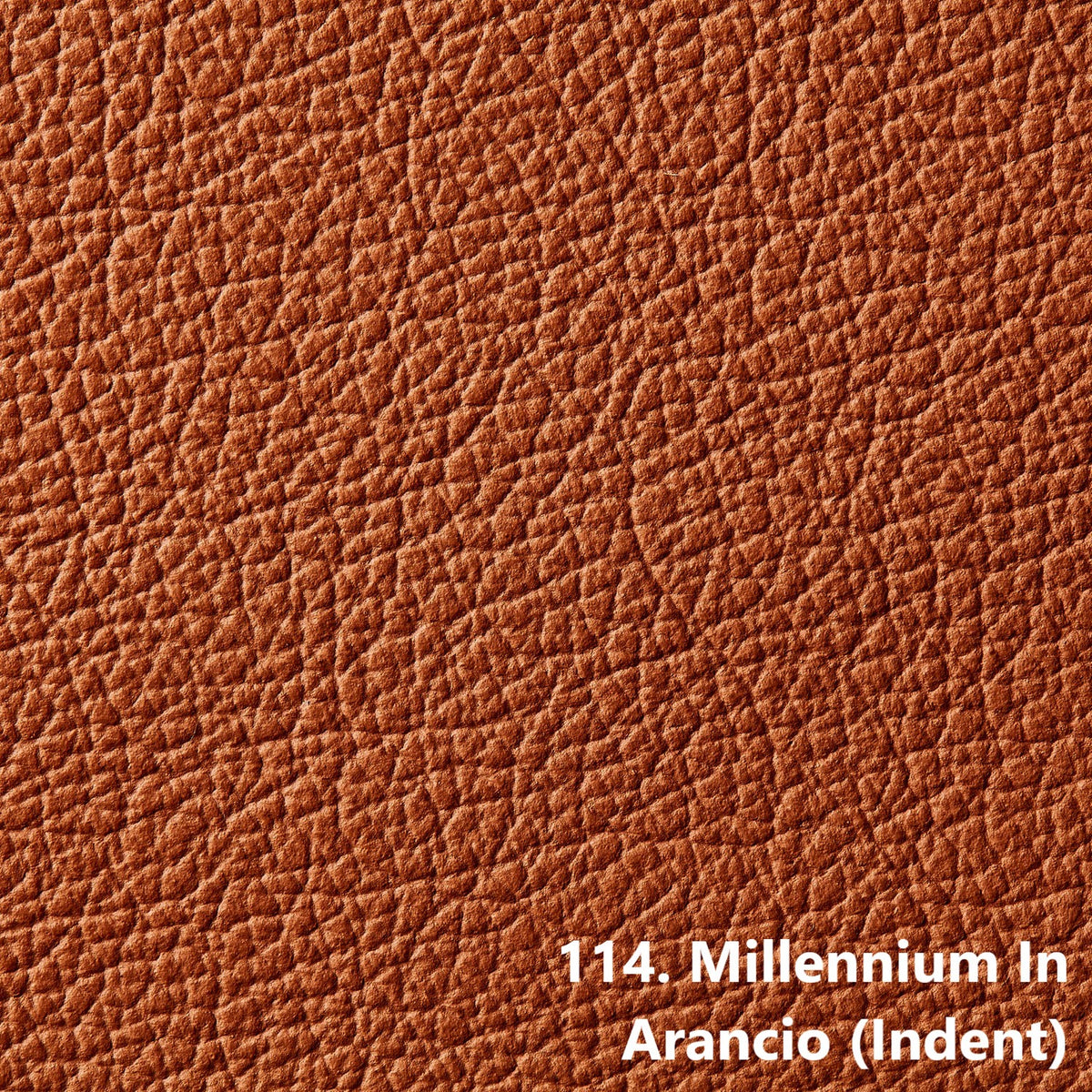 Millennium Upholstery Hides | Pre Order | 0.9mm | 4.8 sq.m