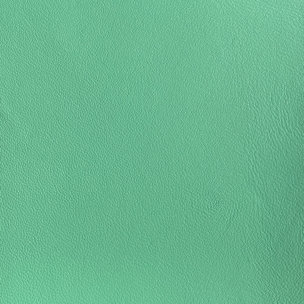 Cabretta | Apple Green | 0.8mm | 4-6 sq.ft | $51 ea.