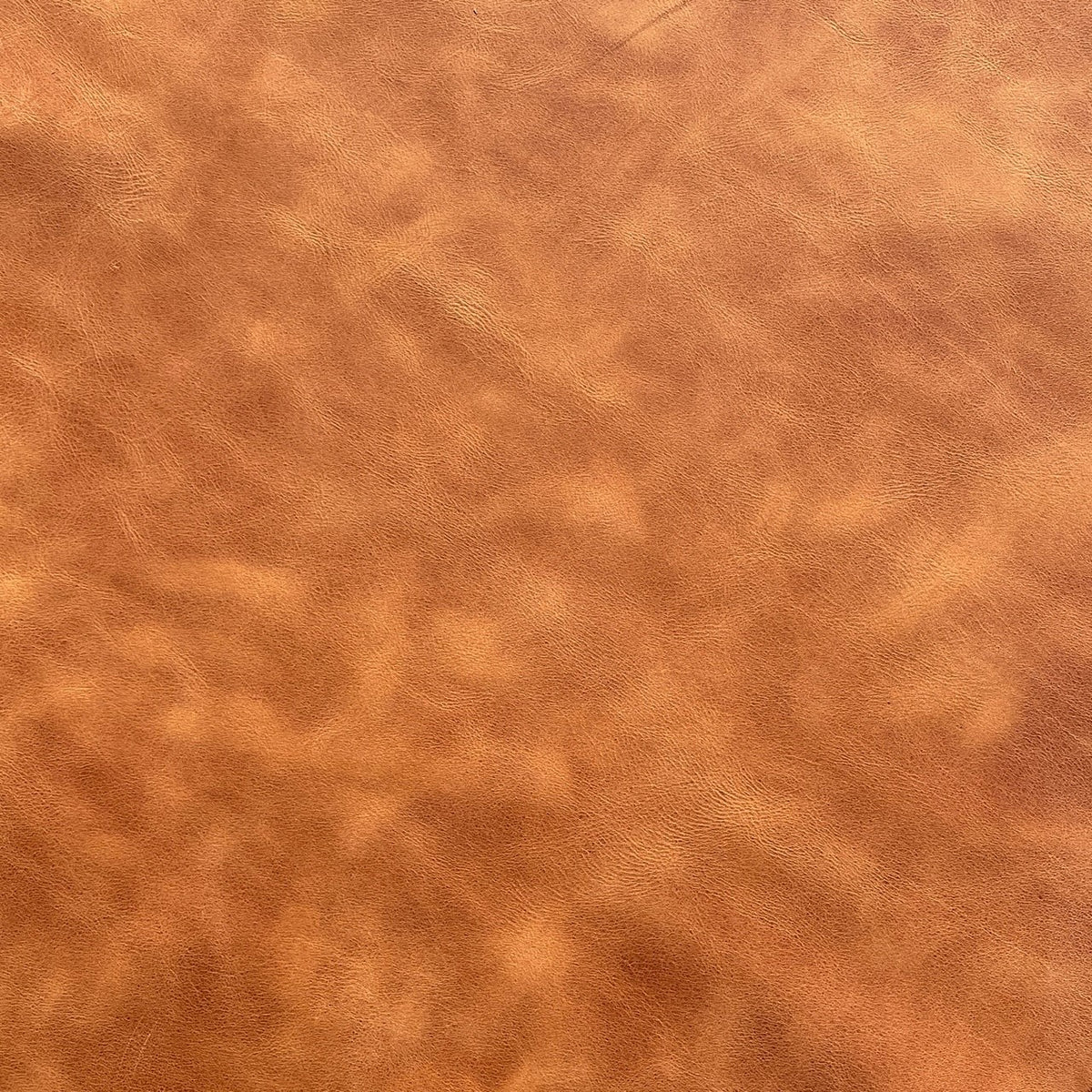 Churchill Cow Side | Cinnamon | 1.6mm | 21 sq.ft | From $255 ea.