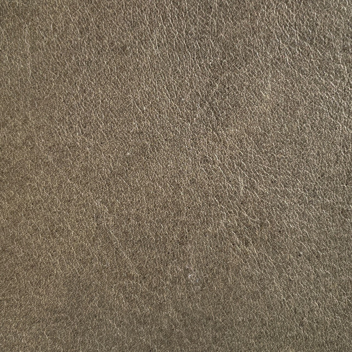 Tuscany Cow Half Sides | Olive | 1.8  -2.0mm | 10 - 12 sq.ft | From $225 ea.