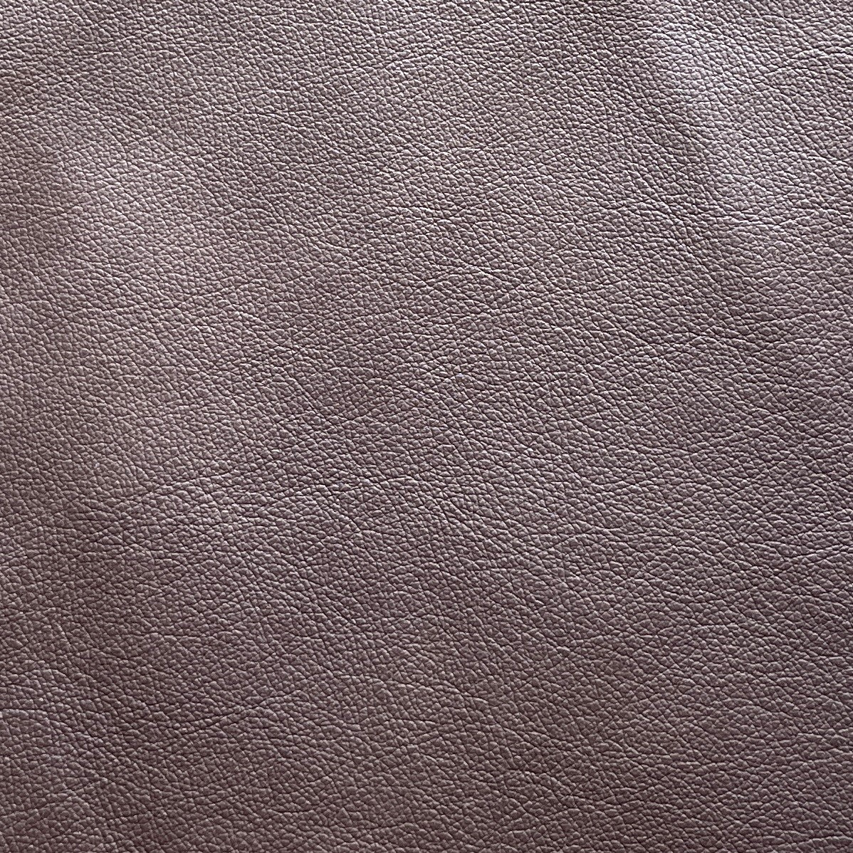 Upholstery Cow Hide #13 | 1.0mm | 5.19 sq.m | From $385 ea.