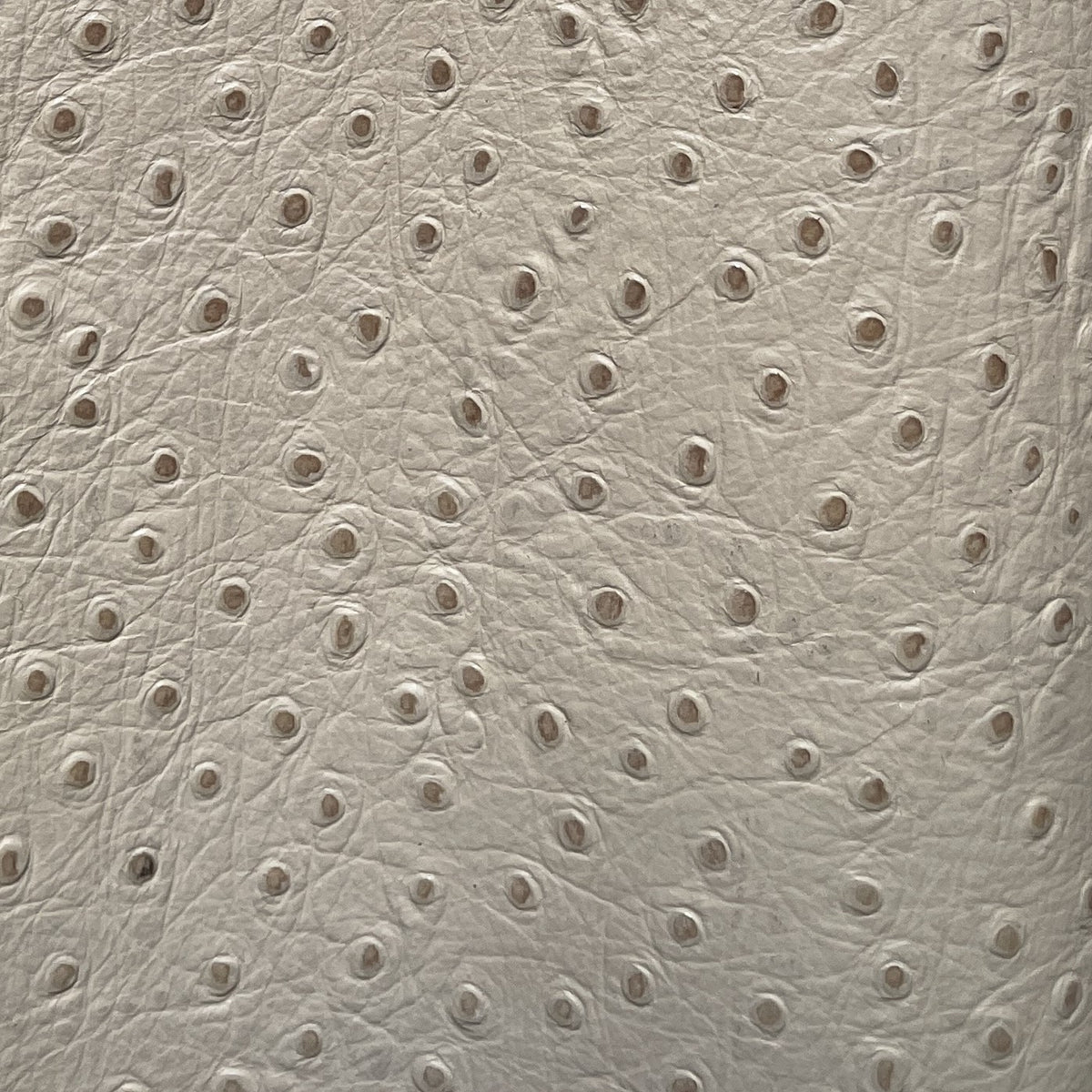 Embossed Ostrich Print Cow Side | Beige | 1.0mm | 22 sq.ft | $195 ea.