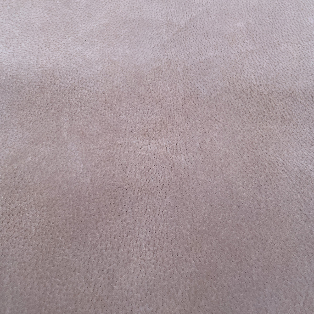 Pig Skin Suede | Sand | 0.6 mm | 8 sq.ft | From $25 ea.